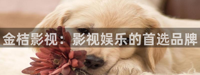 6080新视觉私人影院